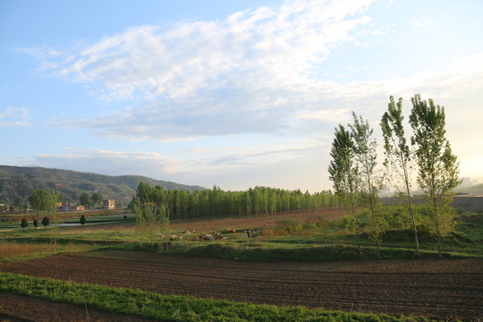 田園
