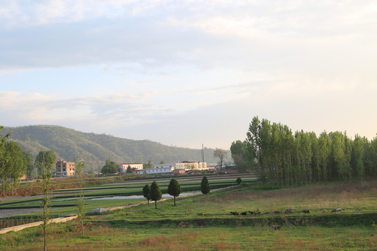 田園風(fēng)景