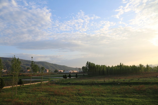 田野風景