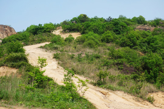 山路