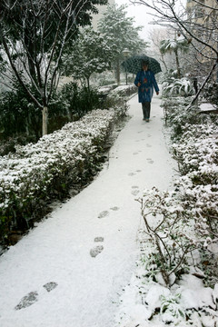 雪景