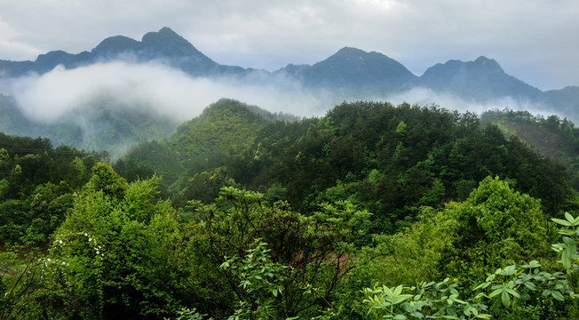 高山