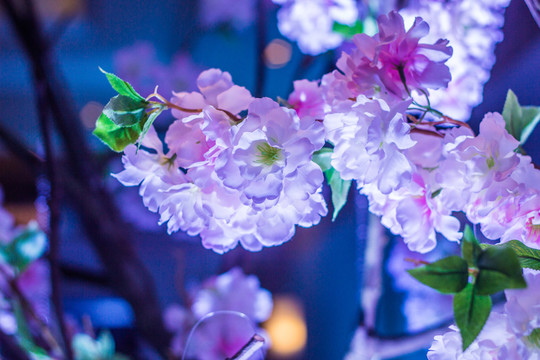 桃花