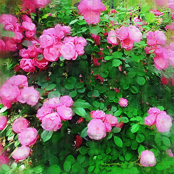 油畫 花卉