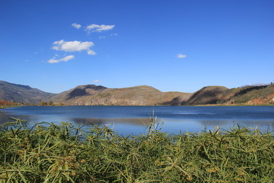 茈碧湖