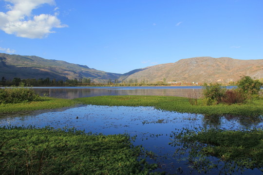 茈碧湖