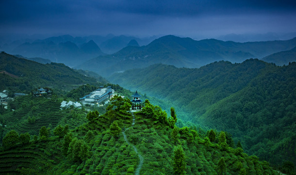 茶山系列