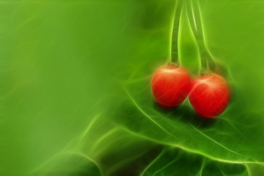 抽象裝飾畫