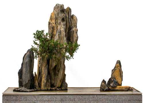 中國(guó)風(fēng)格山水盆景