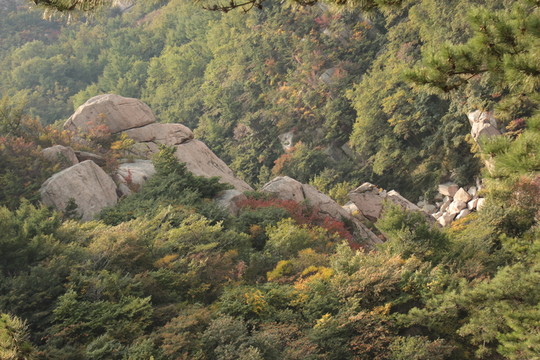 斑斕山景