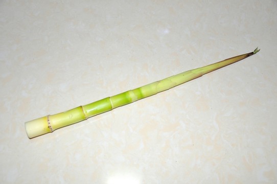 竹筍 筍子 春筍