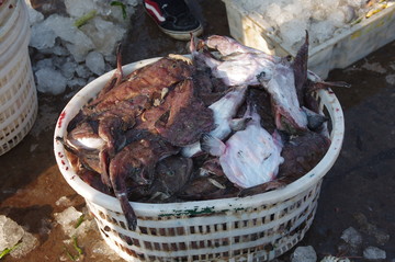 海鮮