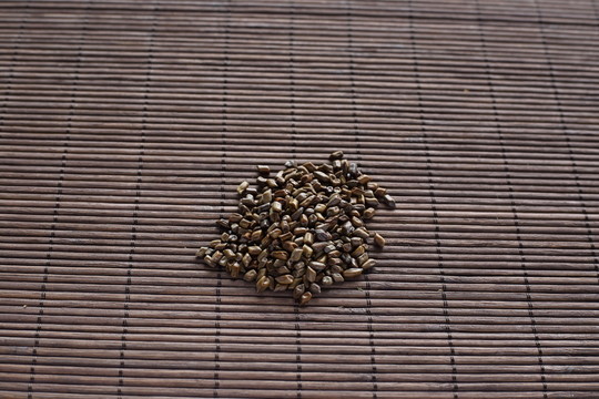 中藥決明子