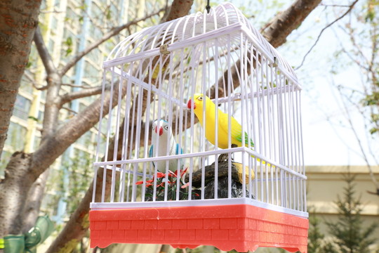 鳥籠