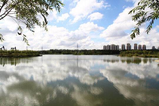 平靜的湖水 生態(tài)城市