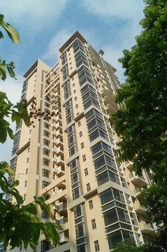 深圳坪洲新村