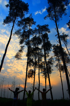夕陽剪影人物