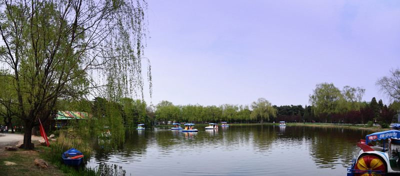 公園湖畔劃船