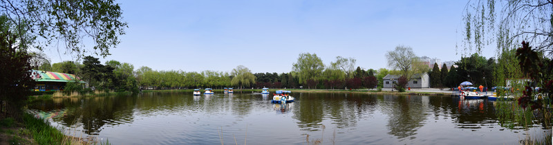 公園湖畔劃船