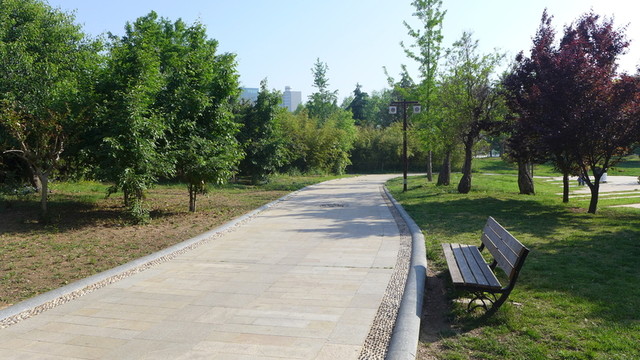 公園道路