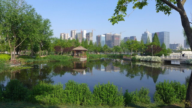 春天公園