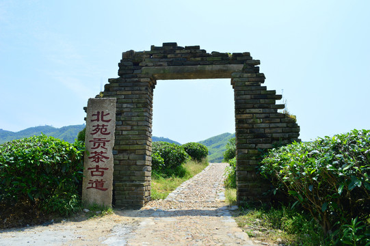 北苑貢茶古道