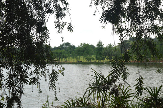 湖