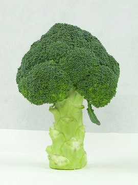 西蘭花