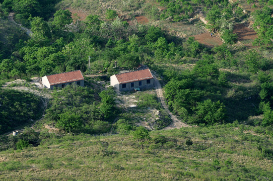 村莊小屋