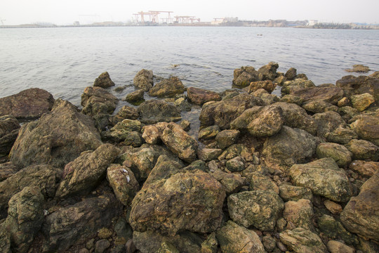 海岸礁石