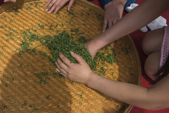 搓茶