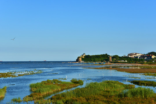 海岸