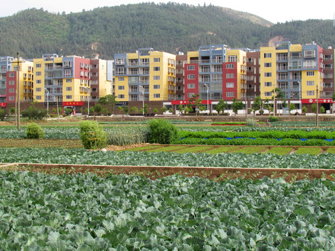 高原城鎮(zhèn)