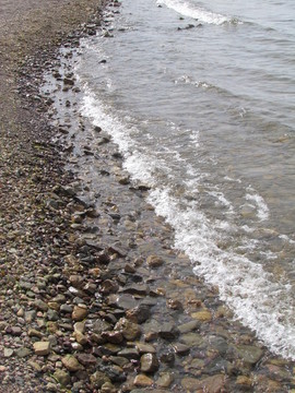 海岸