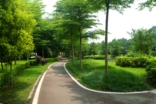 園林小道