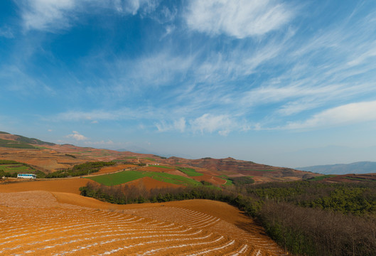 云南東川紅土地 農(nóng)業(yè)種植