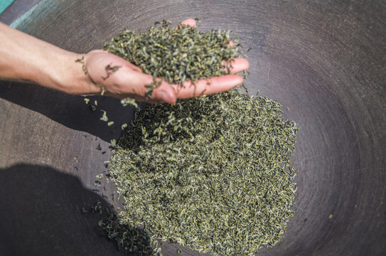 手工制茶