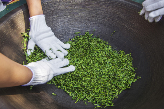 手工制茶圖解