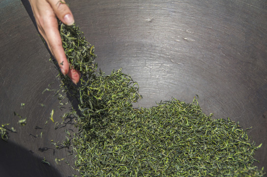手工制茶