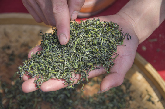 手工制茶