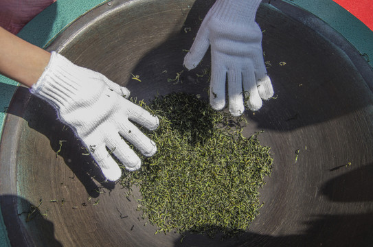 手工制茶
