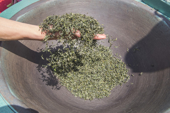 茶葉手工制作