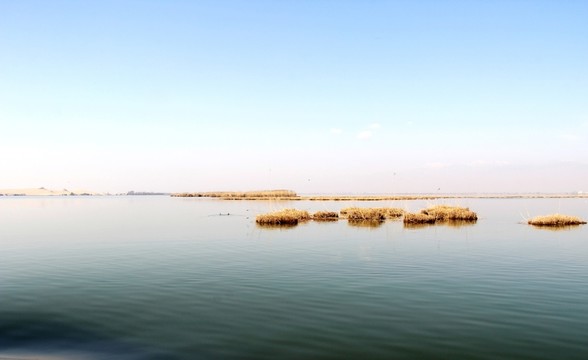 銀川沙湖風(fēng)光