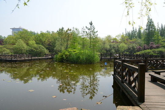 湖泊