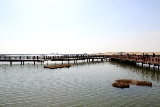 銀川沙湖風光