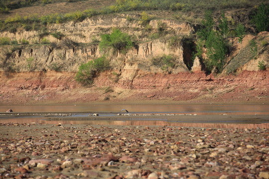 黃河邊
