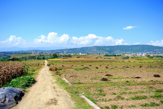 藍(lán)天白云鄉(xiāng)間小路