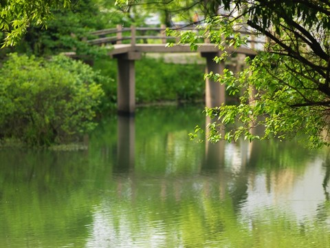 江南水鄉(xiāng)