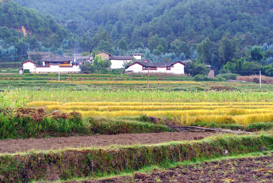 農(nóng)田與村落