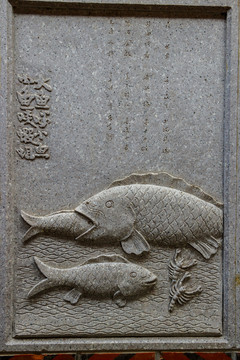 大魚吃小魚